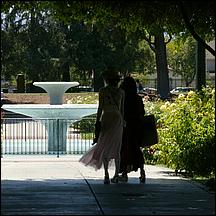 SanJoseMunicipalRoseGarden21-001a.jpg