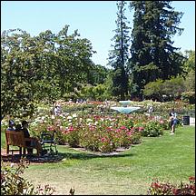 SanJoseMunicipalRoseGarden21-025.jpg