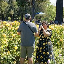 SanJoseMunicipalRoseGarden21-077a.jpg