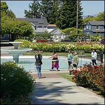 SanJoseMunicipalRoseGarden21-104a.jpg