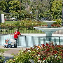 SanJoseMunicipalRoseGarden21-114a.jpg