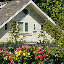 SanJoseMunicipalRoseGarden21-125a.jpg