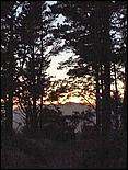 SFfromMarinHeadlands-55c.jpg