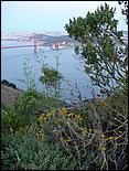 SFfromMarinHeadlands-76b.jpg