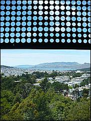 deYoungMuseum_views-09c.jpg