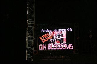 SantaCruz_GinBlossoms08-44c.jpg