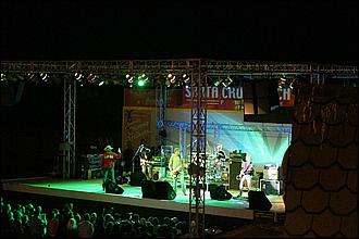 SantaCruz_GinBlossoms08-52c.jpg