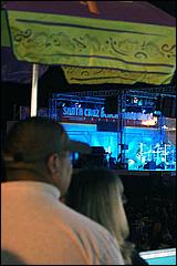 SantaCruz_GinBlossoms08-56c.jpg