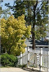 BernalRanch_SantaTeresaCP-020c.jpg