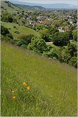 BernalRanch_SantaTeresaCP-100b.jpg