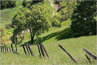 BernalRanch_SantaTeresaCP-110c.jpg