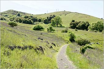 BernalRanch_SantaTeresaCP-230c.jpg