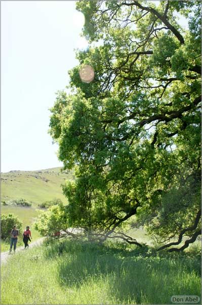 BernalRanch_SantaTeresaCP-086c.jpg - for personal use