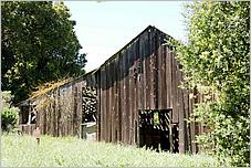 BernalRanch_SantaTeresaCP-048c.jpg