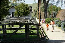 BernalRanch_SantaTeresaCP-049b.jpg