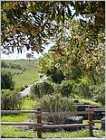 BernalRanch_SantaTeresaCP-065b.jpg