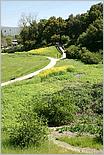 BernalRanch_SantaTeresaCP-066c.jpg