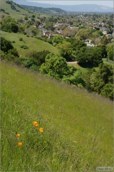 BernalRanch_SantaTeresaCP-100b.jpg - for personal use