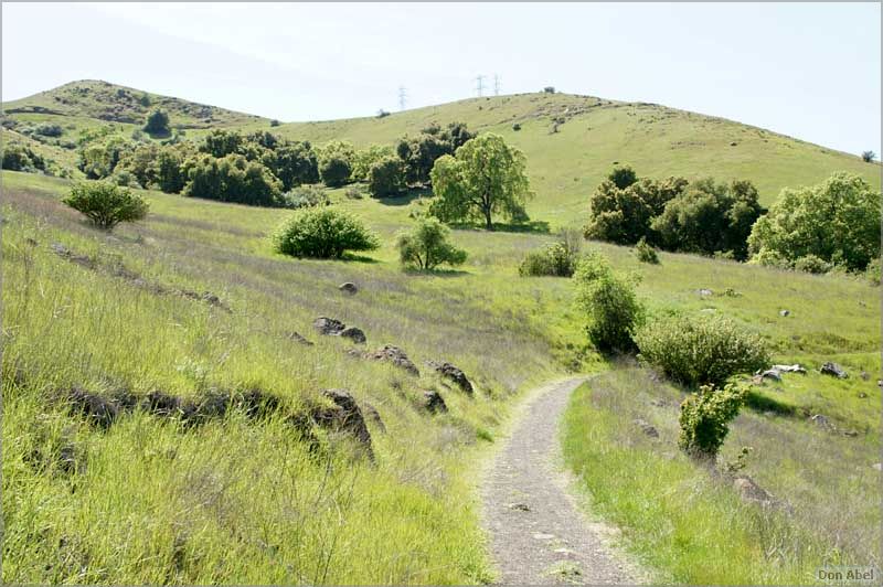 BernalRanch_SantaTeresaCP-230c.jpg - for personal use