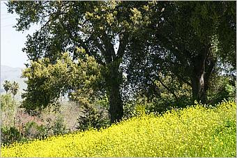 BernalRanch_SantaTeresaCP-053c.jpg