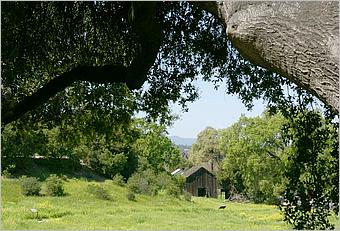 BernalRanch_SantaTeresaCP-058c.jpg