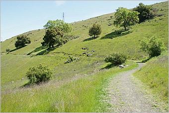 BernalRanch_SantaTeresaCP-091b.jpg