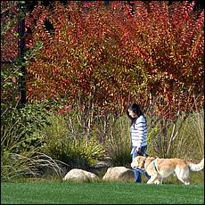 Fall2014-033a-SevenSeasPark.jpg