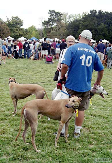 BarkinthePark04-03.jpg