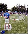 BarkinthePark04-16.jpg