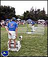 BarkinthePark04-18.jpg