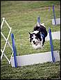 BarkinthePark04-21.jpg