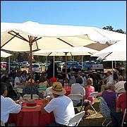 SJMB-Concours_dElegance10-JThomas-33ab.jpg