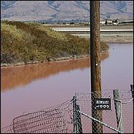 Day on the Bay 2011-006-web.jpg