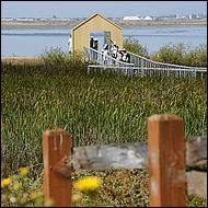 Day on the Bay 2011-014-web.jpg