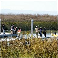 Day on the Bay 2011-077-web.jpg