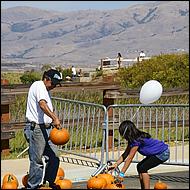 Day on the Bay 2011-080a-web.jpg