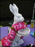 BunniesBonnets08Campbell-222b.jpg