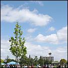 Campbell_Eggstravaganza09-164a1.jpg