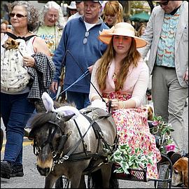 BunniesBonnets_Campbell11-063a2-web.jpg