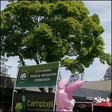 BunniesBonnets_Campbell2017-046c1.jpg