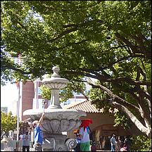 SantaClaraParadeOfChampions2025-208.jpg