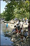 SVDuckRace08-054c.jpg