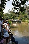 SVDuckRace08-056c.jpg