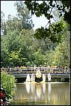 SVDuckRace08-062b.jpg