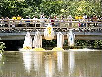 SVDuckRace08-062d.jpg