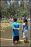 SVDuckRace08-070c.jpg