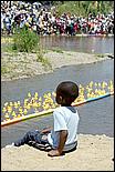 SVDuckRace08-075c.jpg