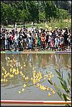 SVDuckRace08-080b.jpg