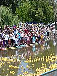 SVDuckRace08-084b.jpg