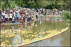 SVDuckRace08-085b.jpg